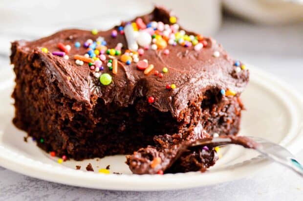 chocolate cake on a plate
