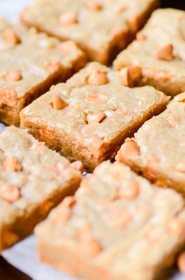 Fudgy squares of butterscotch blondies closeup photo