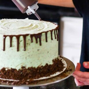 Mint Chocolate Chip Cake