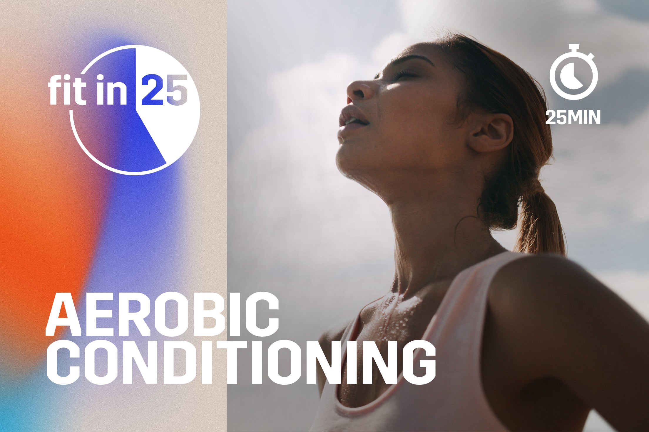 Workout Title: Aerobic Conditioning