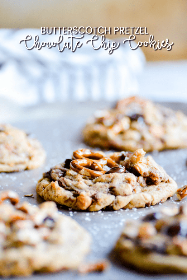 Butterscotch Pretzel Chocolate Chip Cookie closeup