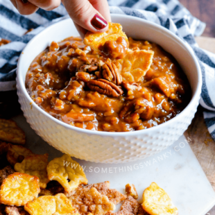Get your pie in a fraction of the time when you make this Pecan Pie Dip! A delicious stovetop version of Thanksgiving's iconic pie served as a dip with pie crust dippers.