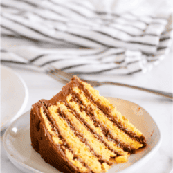 Grandma's Famous 6-Layer Cake