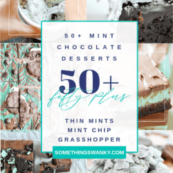 50+ Chocolate Mint Desserts